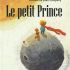 LE PETIT PRINCE