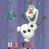 Cahier Piqué 64P 17*22 BMV Disney 80G