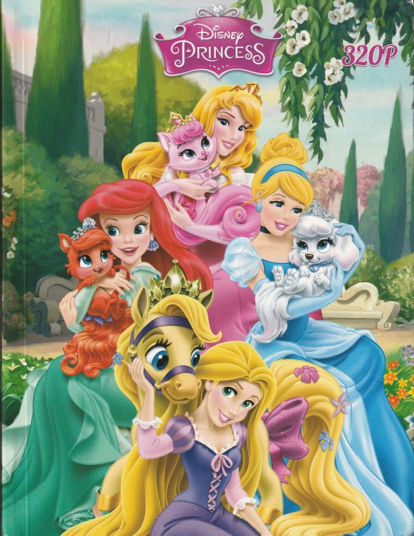 Cahier Piqué 320p 17*22 BMV Disney 80G