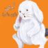 قصة " الأرنب الأكول🐰 " 💕🙋🏻‍♀️